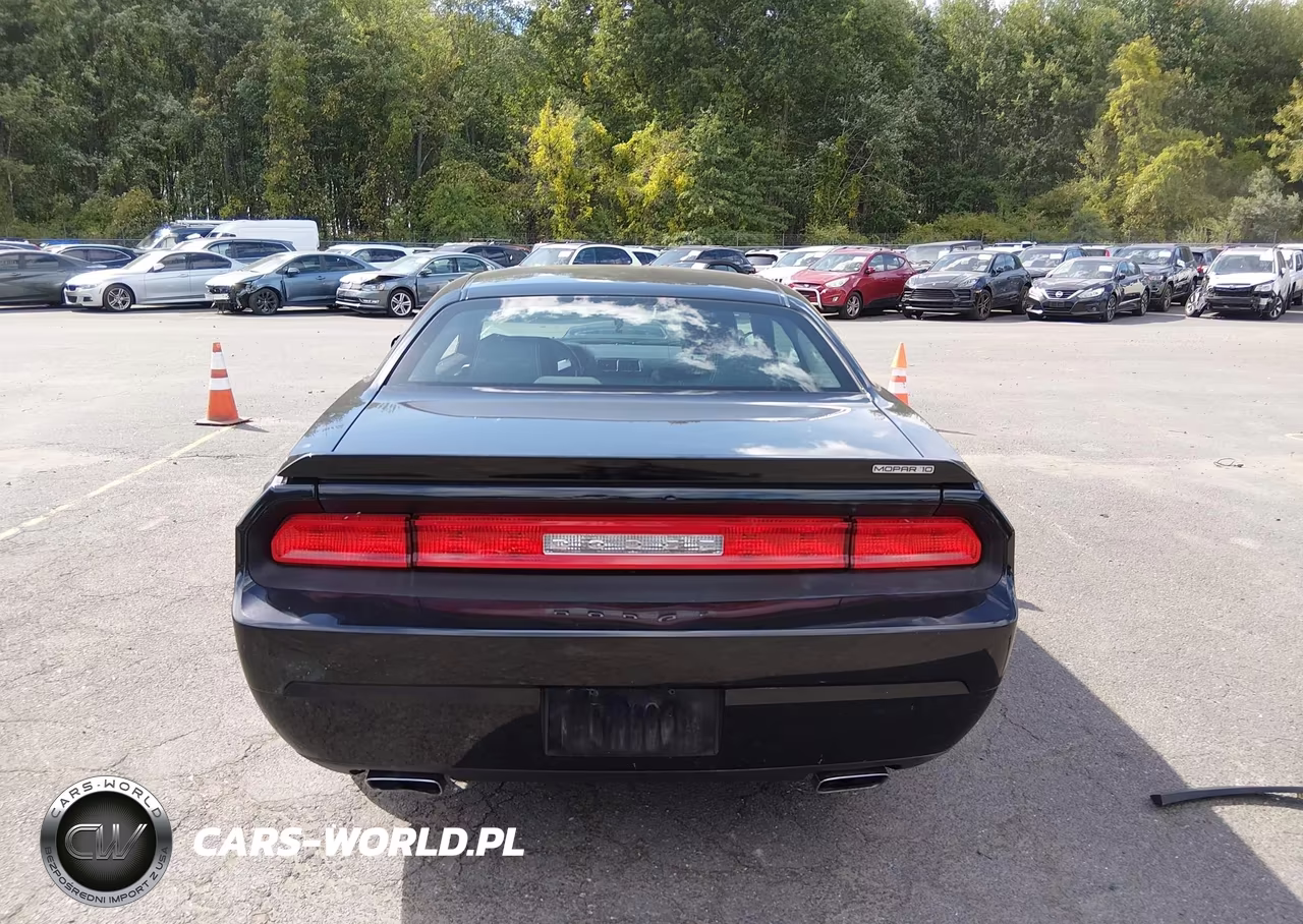 2010 Dodge Challenger R-T VIN:2B3CJ5DT5AH295977 - 17