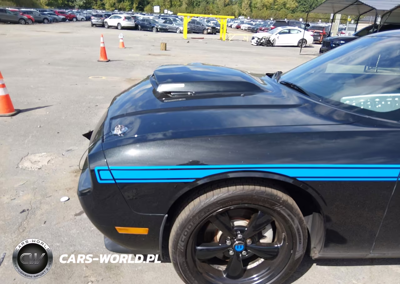 2010 Dodge Challenger R-T VIN:2B3CJ5DT5AH295977 - 20