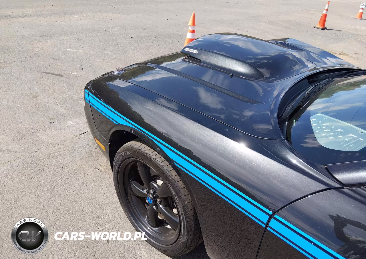 2010 Dodge Challenger R-T VIN:2B3CJ5DT5AH295977 - 21