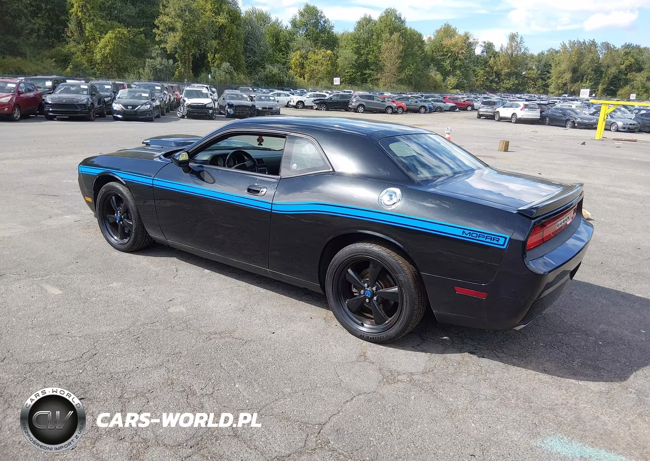 2010 Dodge Challenger R-T VIN:2B3CJ5DT5AH295977 - 3