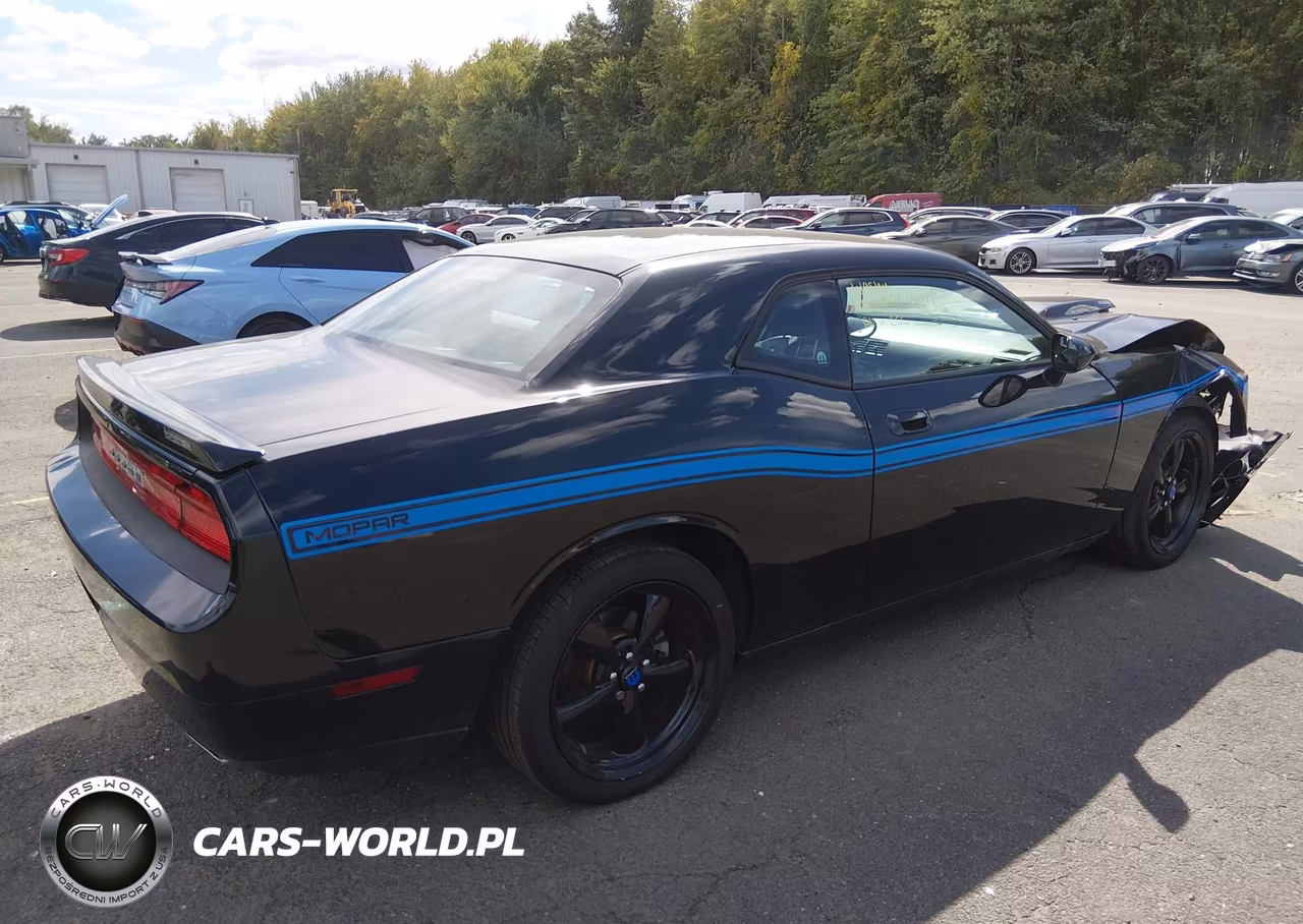 2010 Dodge Challenger R-T VIN:2B3CJ5DT5AH295977 - 4