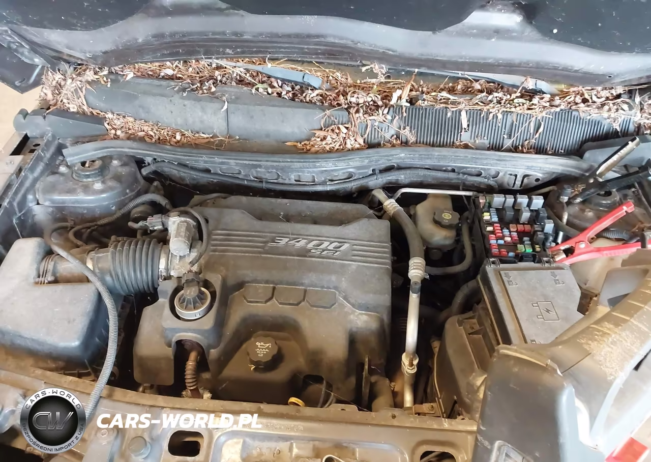 2008 Chevrolet Equinox Lt-Ltz VIN:2CNDL33F086335767 - 10