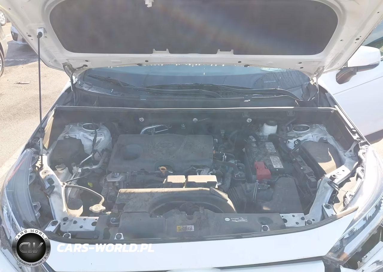 2020 Toyota Rav4 Xle VIN:2T3W1RFV1LC071238 - 10