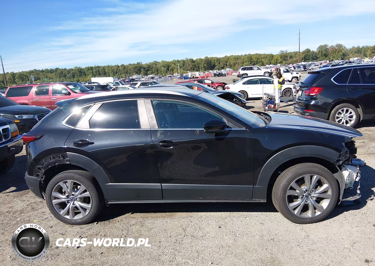 2023 Mazda Cx-30 2.5 S Preferred VIN:3MVDMBCM7PM504146 - 14