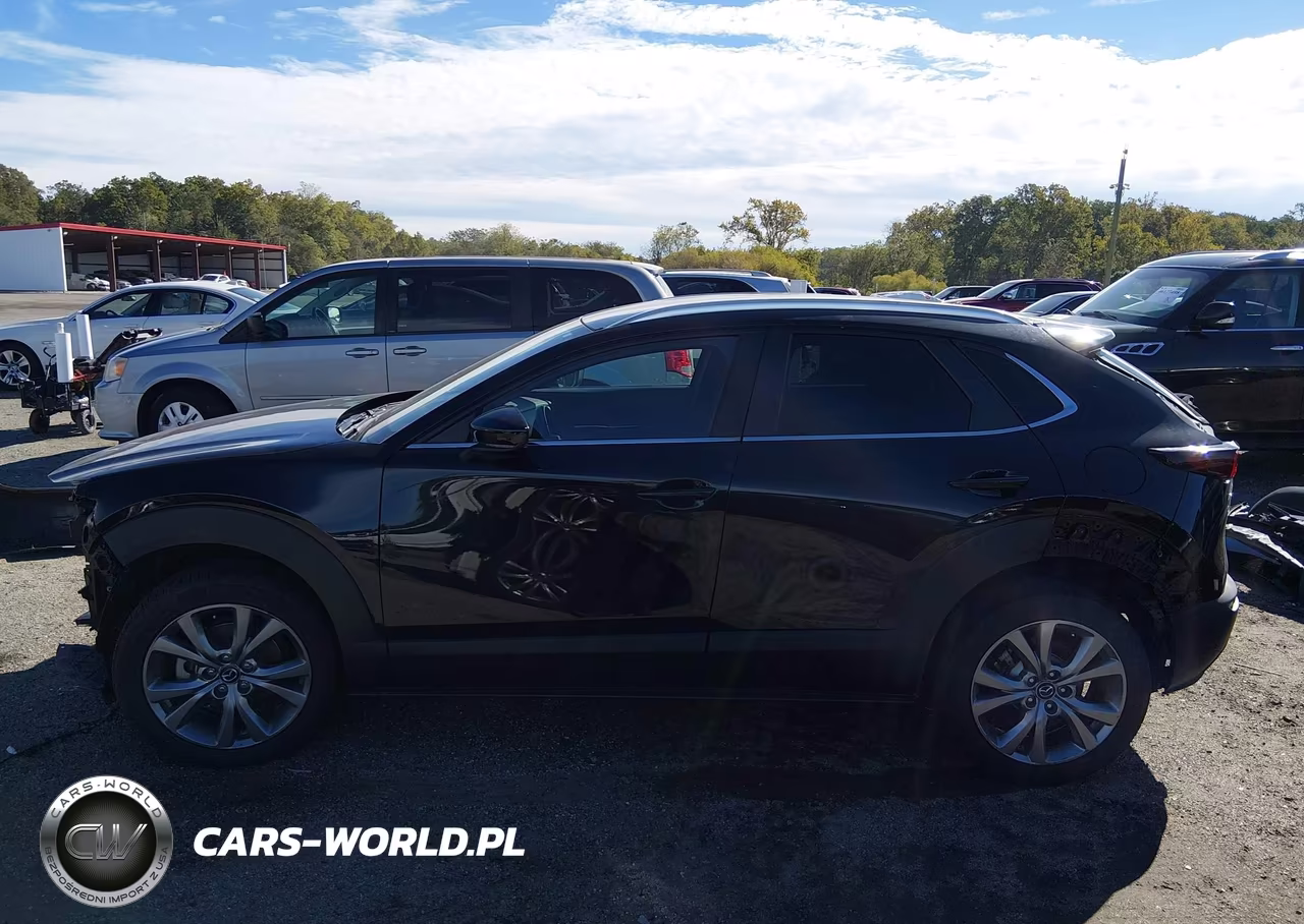 2023 Mazda Cx-30 2.5 S Preferred VIN:3MVDMBCM7PM504146 - 15