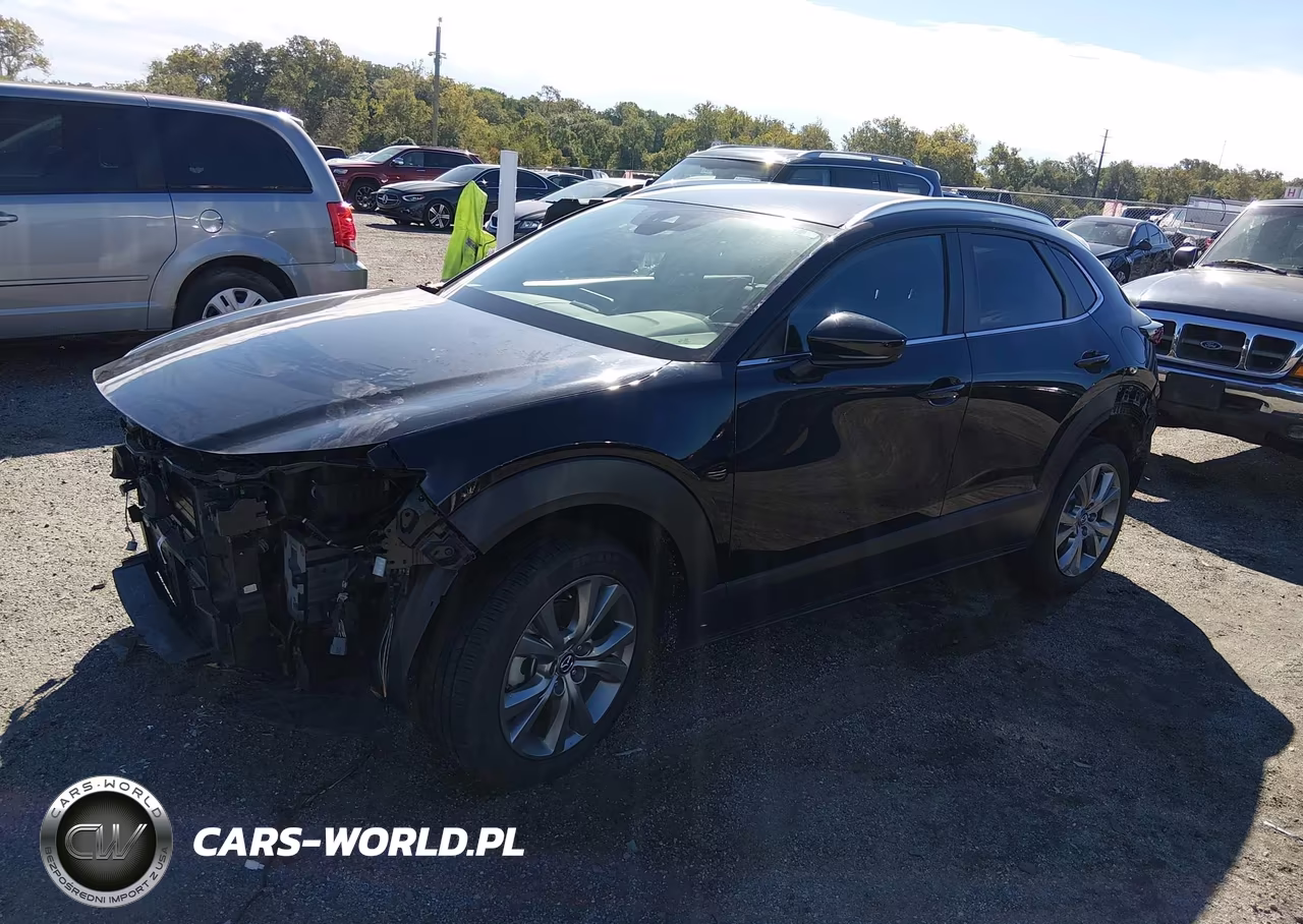 2023 Mazda Cx-30 2.5 S Preferred VIN:3MVDMBCM7PM504146 - 2
