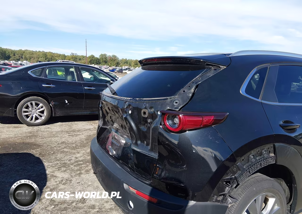 2023 Mazda Cx-30 2.5 S Preferred VIN:3MVDMBCM7PM504146 - 6