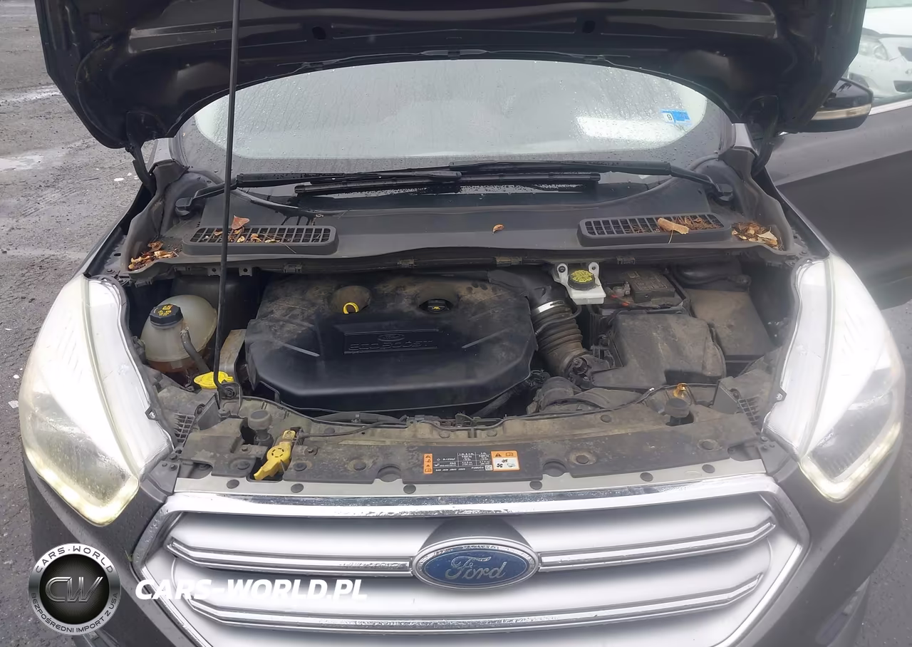 2017 Ford Escape Titanium VIN:1FMCU9J93HUD49432 - 10