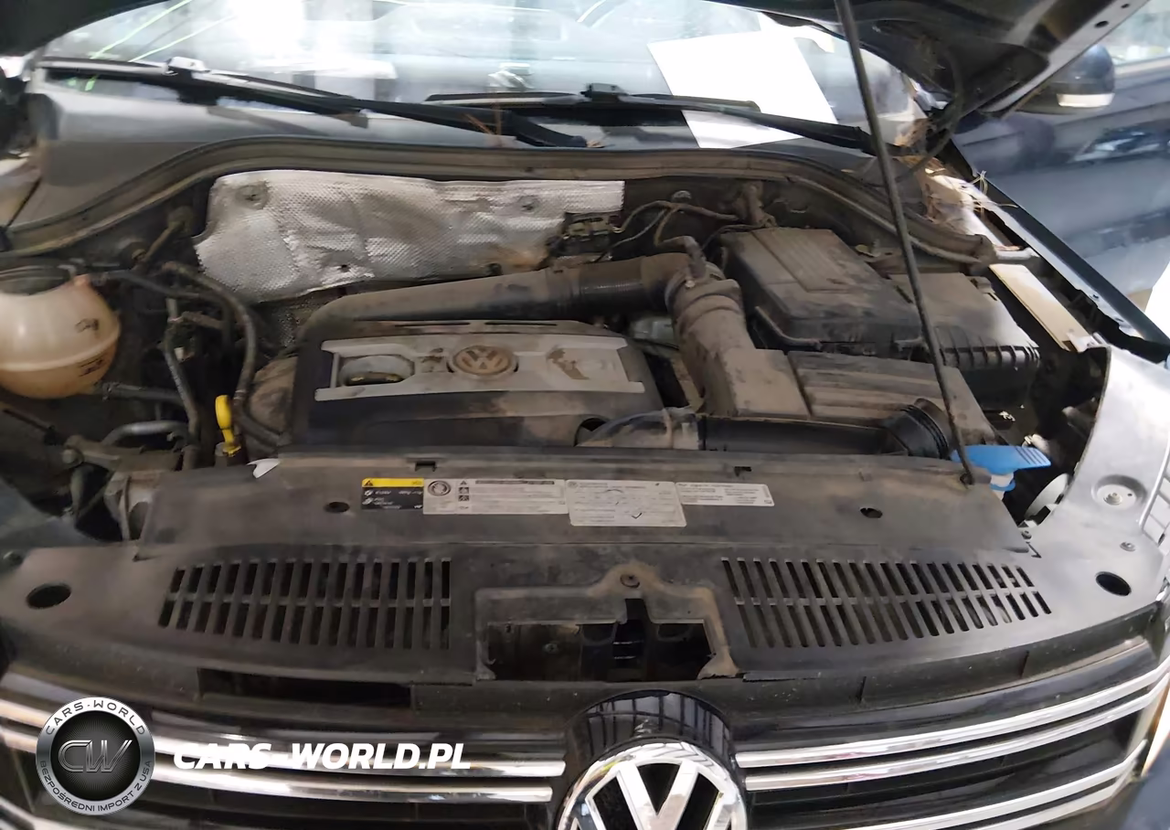 2015 Volkswagen Tiguan S VIN:WVGAV7AX0FW607382 - 10