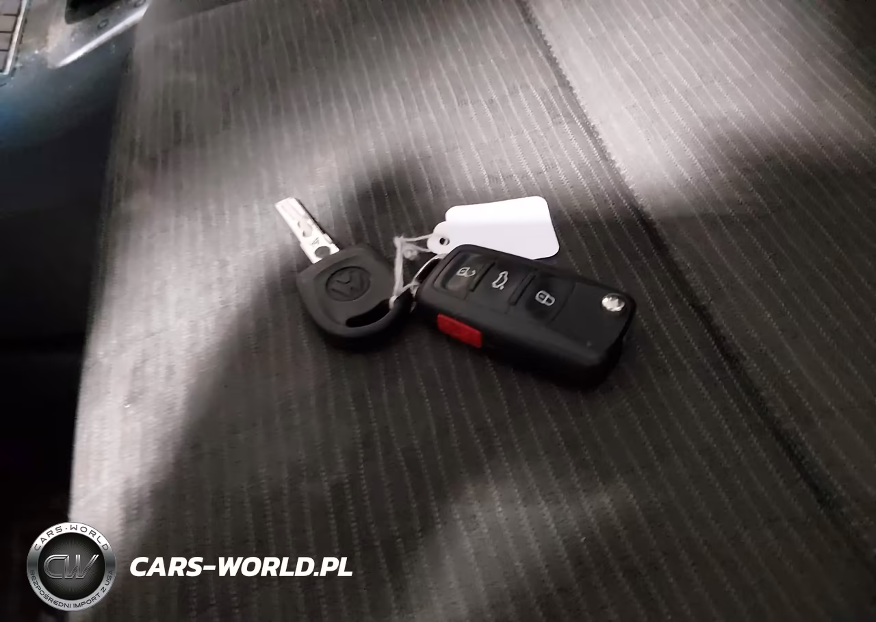 2015 Volkswagen Tiguan S VIN:WVGAV7AX0FW607382 - 11