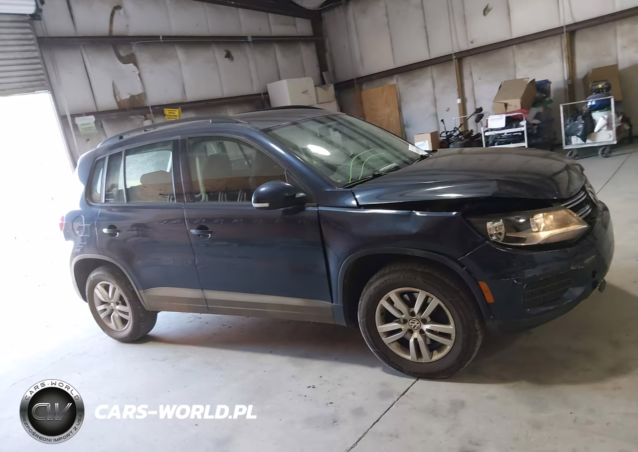 2015 Volkswagen Tiguan S VIN:WVGAV7AX0FW607382 - 13