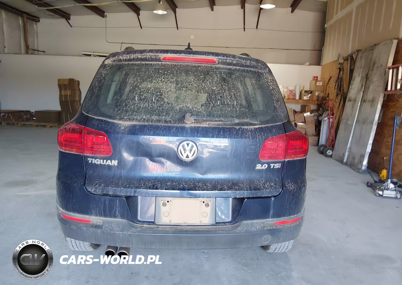 2015 Volkswagen Tiguan S VIN:WVGAV7AX0FW607382 - 16