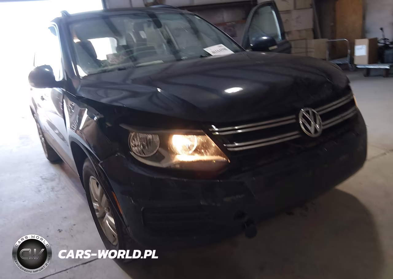 2015 Volkswagen Tiguan S VIN:WVGAV7AX0FW607382 - 17