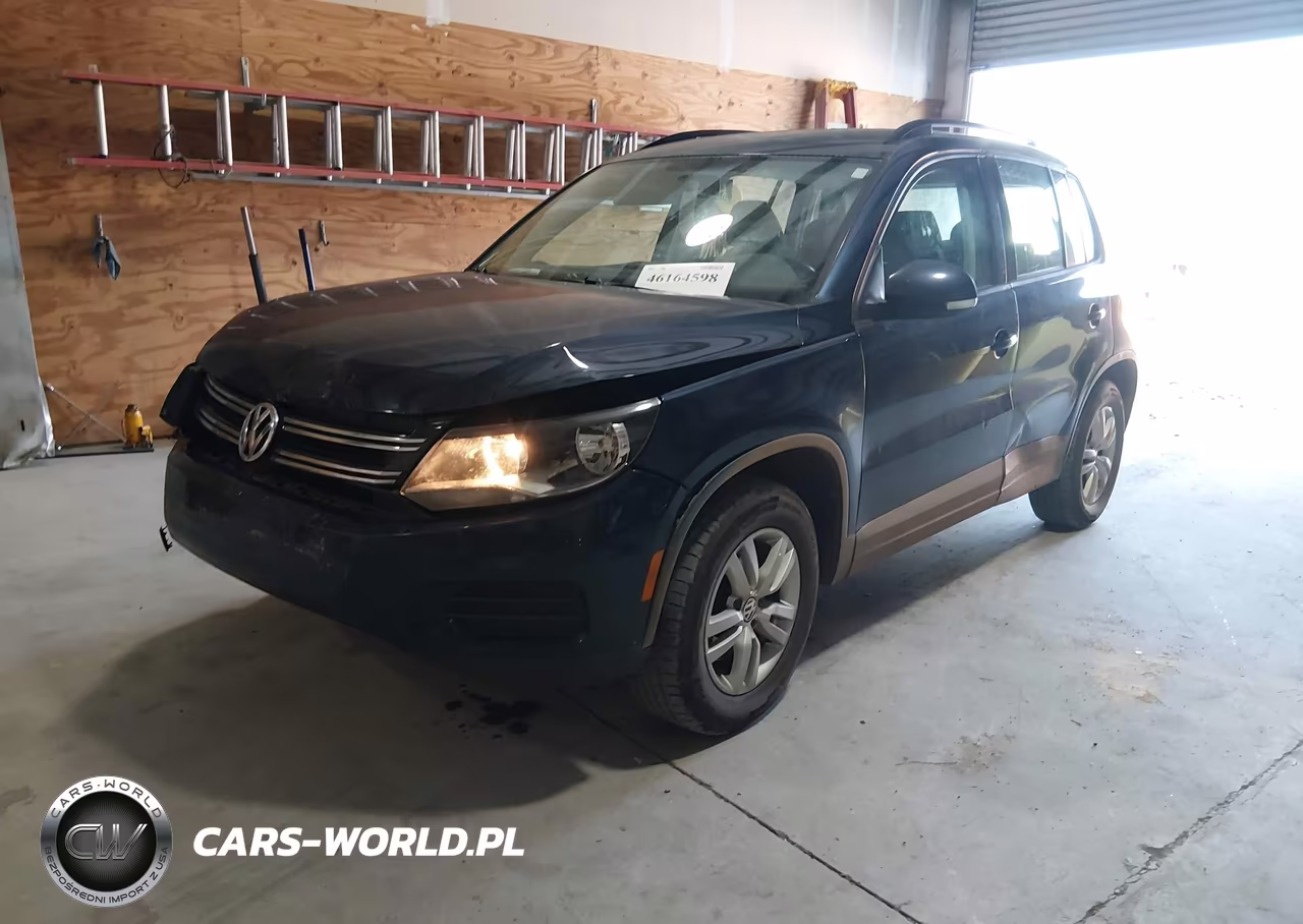 2015 Volkswagen Tiguan S VIN:WVGAV7AX0FW607382 - 2