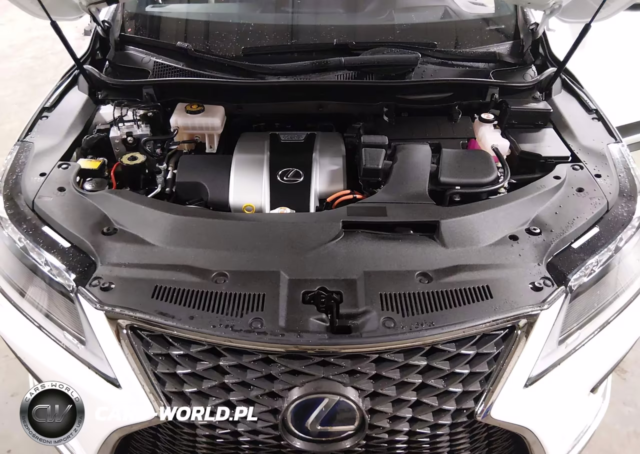2021 Lexus Rx Rx 450H F Sport Appearance VIN:2T2SGMDA7MC057821 - 10