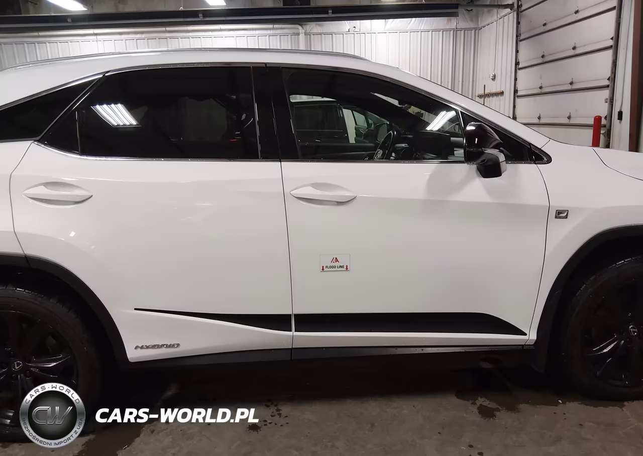 2021 Lexus Rx Rx 450H F Sport Appearance VIN:2T2SGMDA7MC057821 - 6