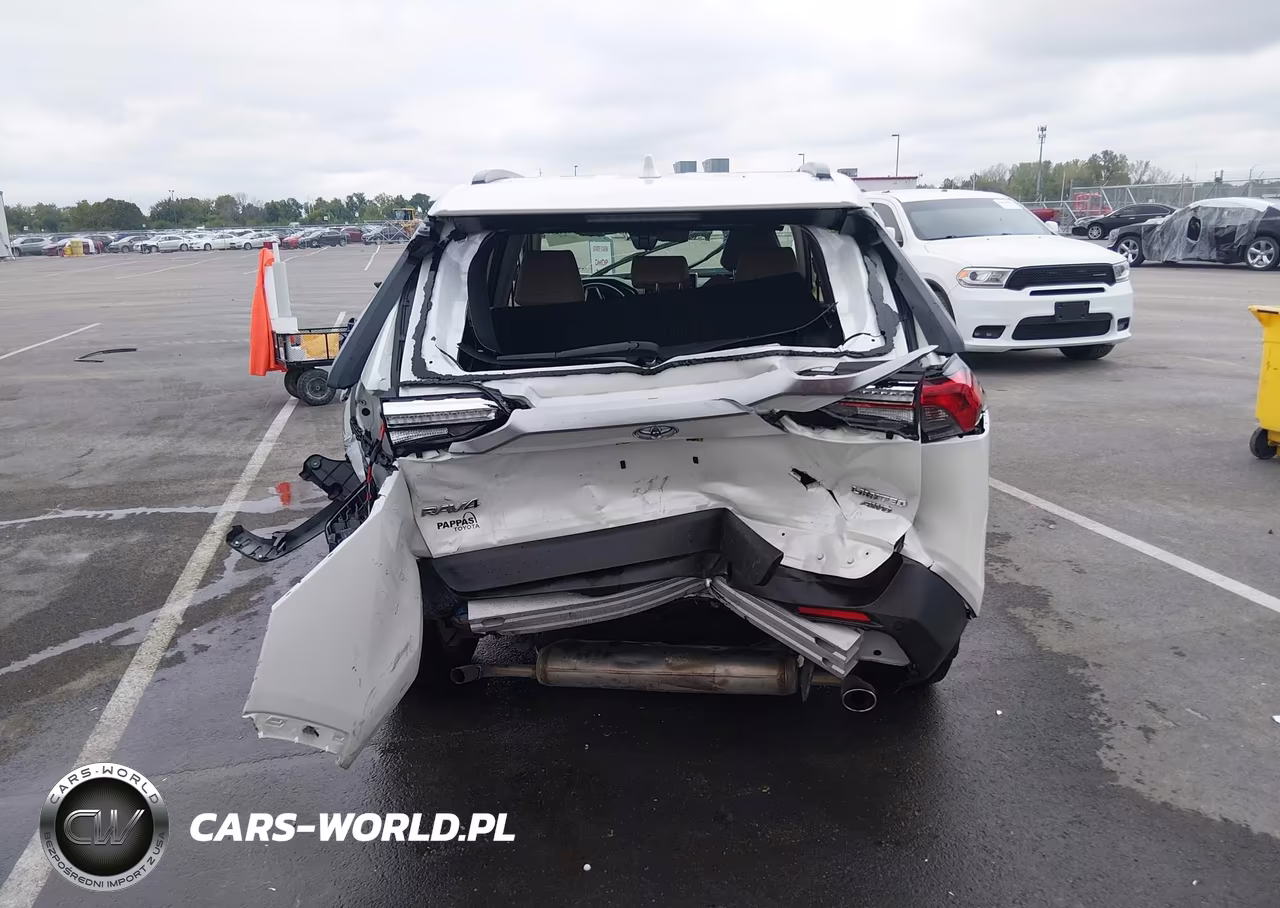 2021 Toyota Rav4 Limited VIN:JTMN1RFV2MJ039862 - 17