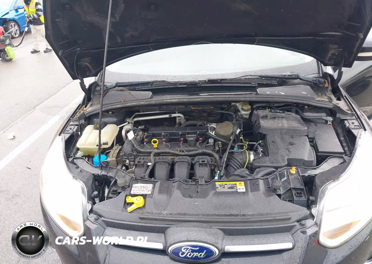 2014 Ford Focus Se VIN:1FADP3K20EL161067 - 10
