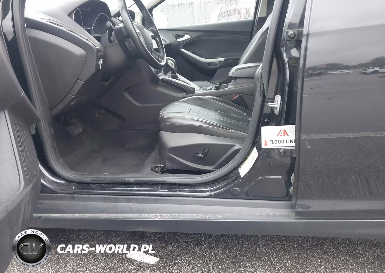 2014 Ford Focus Se VIN:1FADP3K20EL161067 - 12