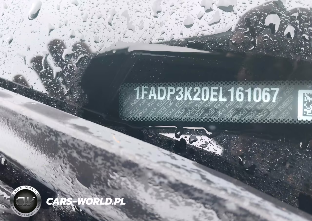 2014 Ford Focus Se VIN:1FADP3K20EL161067 - 9