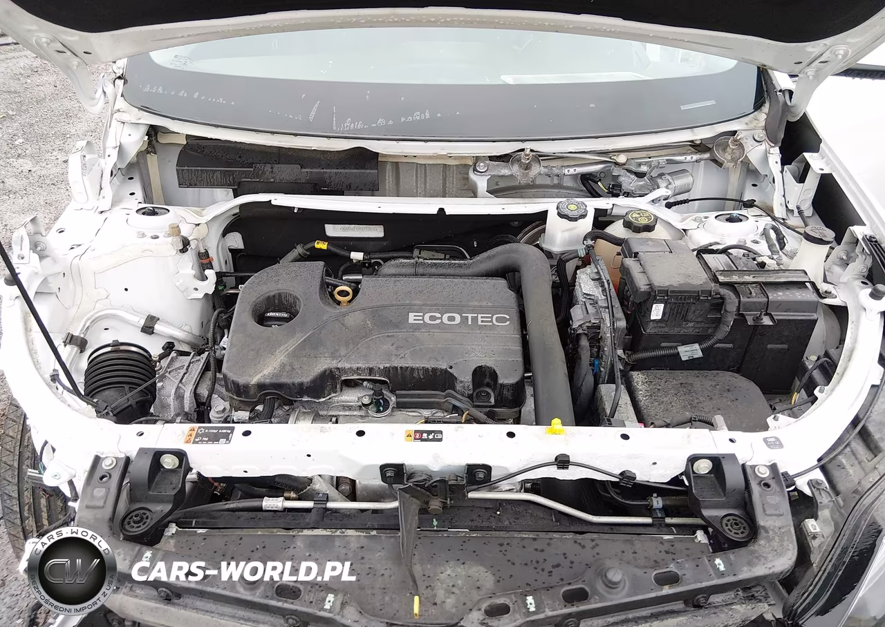 2019 Chevrolet Equinox Lt VIN:2GNAXKEV1K6113876 - 10