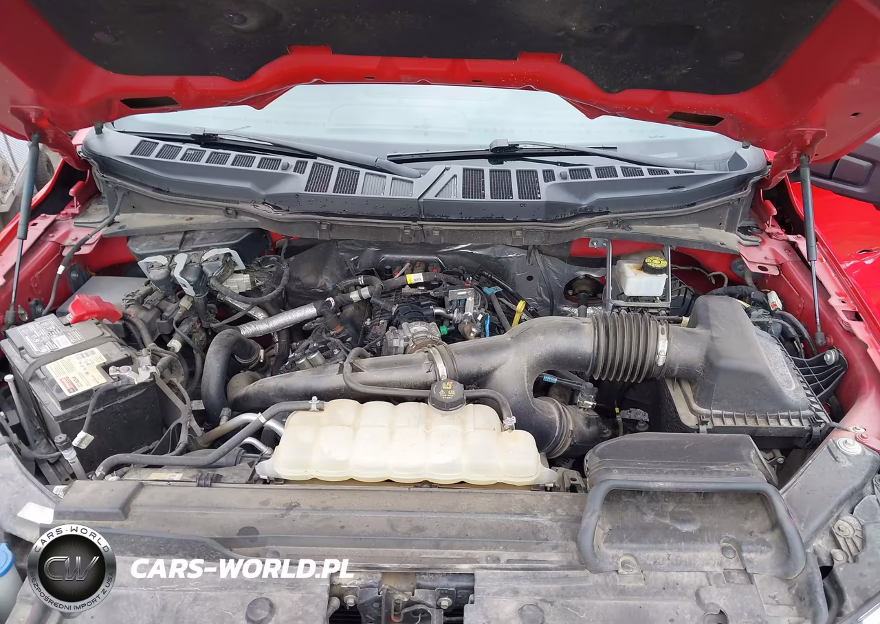 2023 Ford F-150 Xlt VIN:1FTEW1CP2PKD17604 - 10