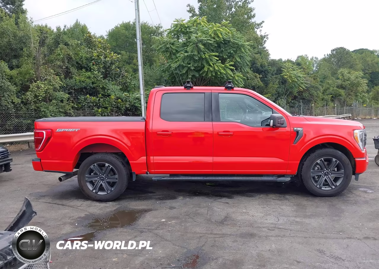 2023 Ford F-150 Xlt VIN:1FTEW1CP2PKD17604 - 13