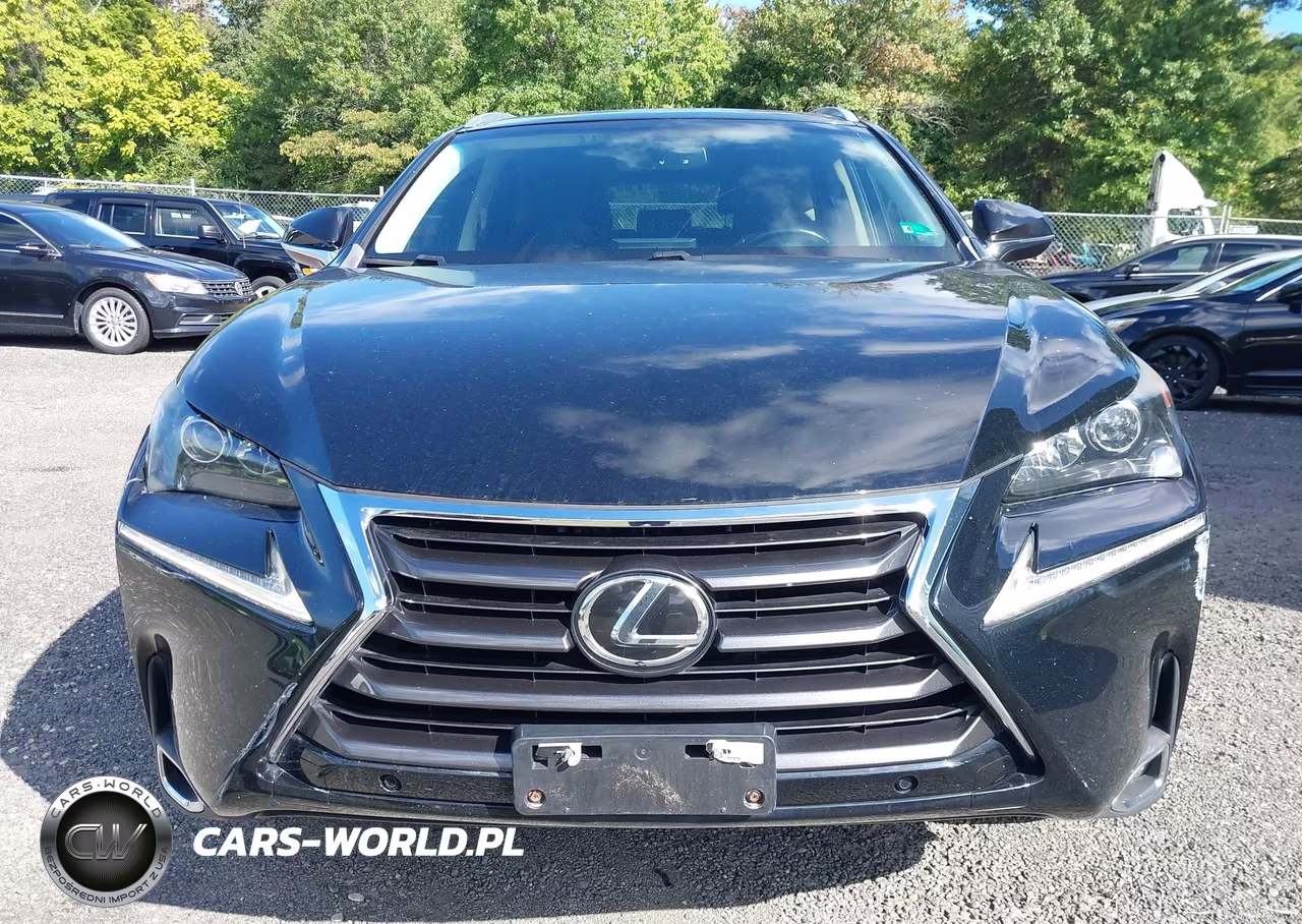 2016 Lexus Nx 200T VIN:JTJBARBZ0G2090509 - 13