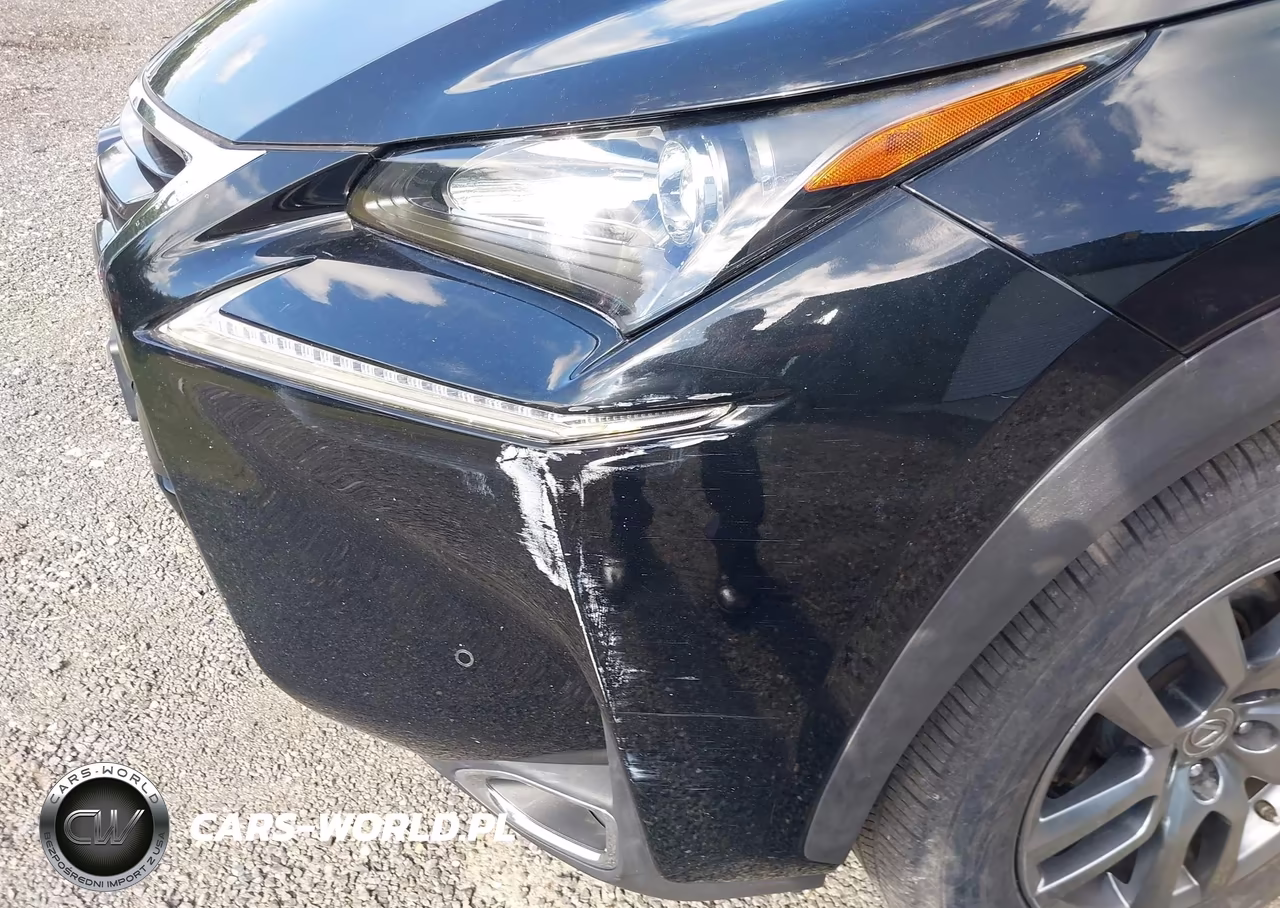 2016 Lexus Nx 200T VIN:JTJBARBZ0G2090509 - 18