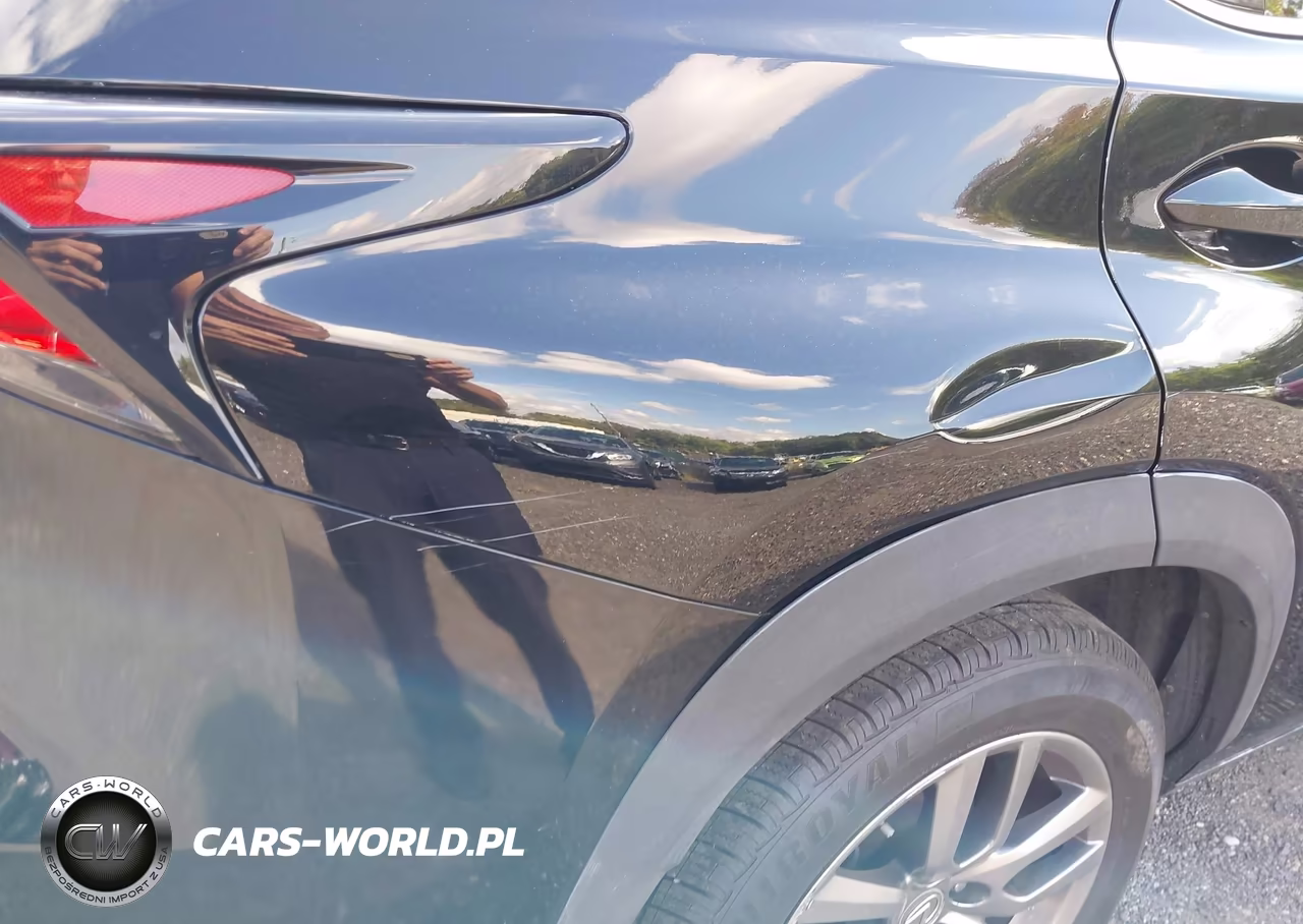 2016 Lexus Nx 200T VIN:JTJBARBZ0G2090509 - 20
