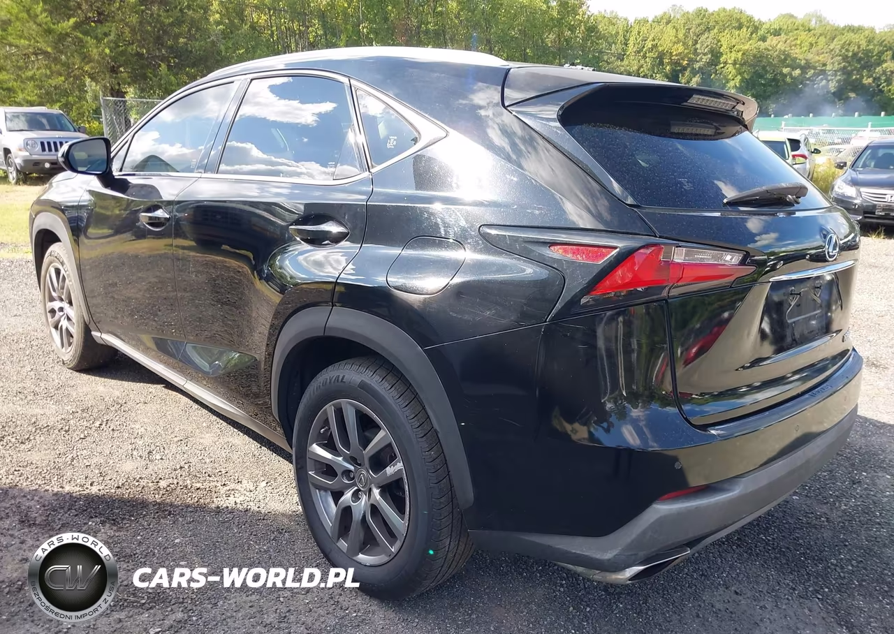 2016 Lexus Nx 200T VIN:JTJBARBZ0G2090509 - 3