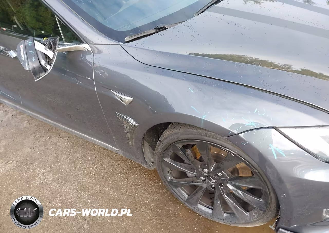 2017 Tesla Model S 100D-60D-75D-90D-P100D VIN:5YJSA1E22HF199779 - 6