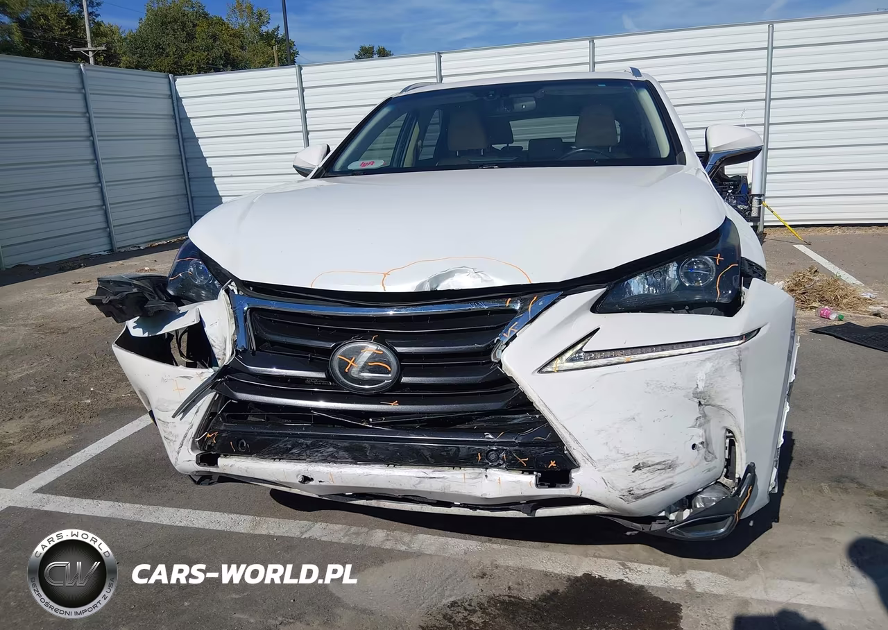 2016 Lexus Nx 200T VIN:JTJYARBZ5G2041588 - 12