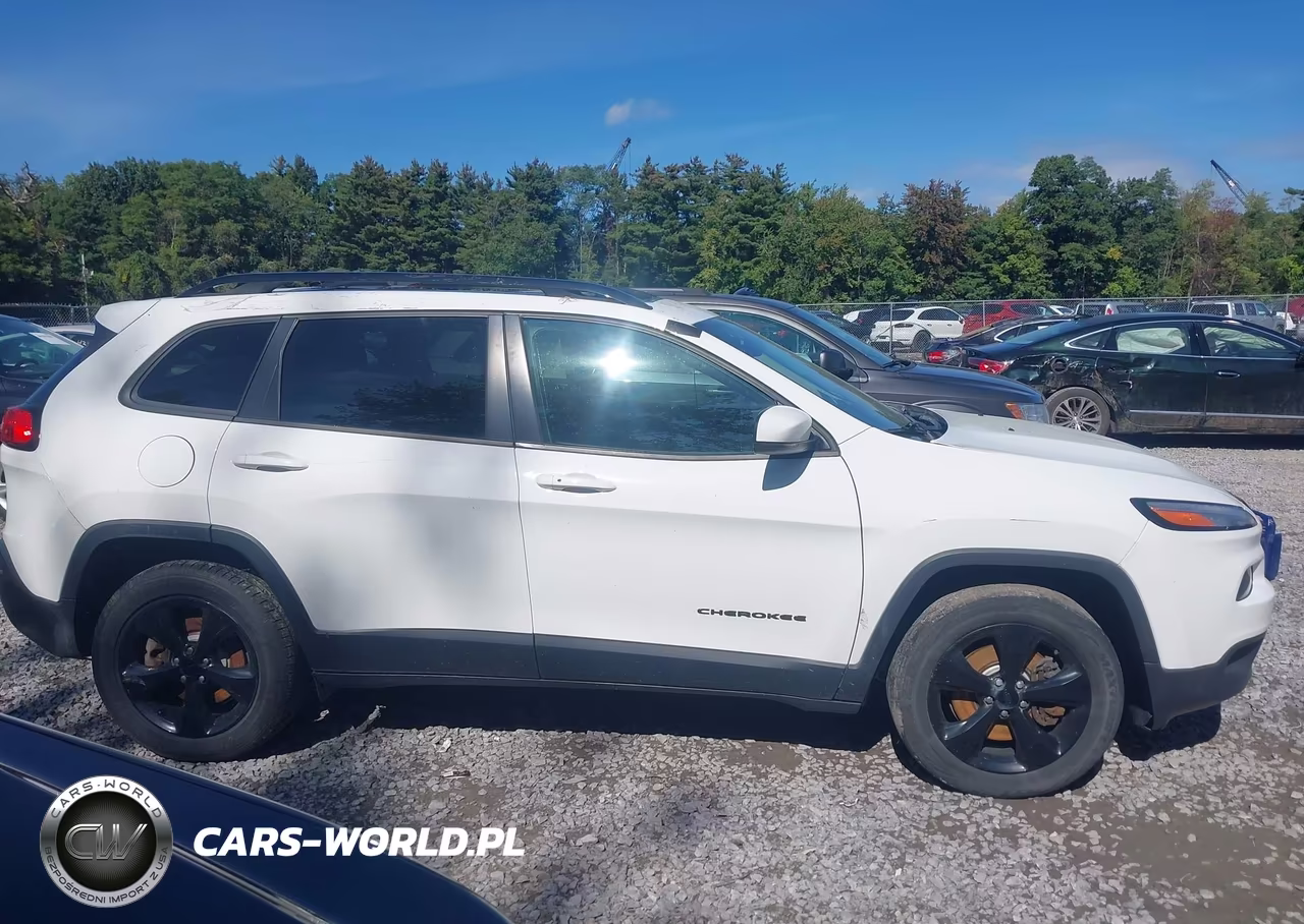 2018 Jeep Cherokee Limited 4X4 VIN:1C4PJMDX7JD609980 - 13