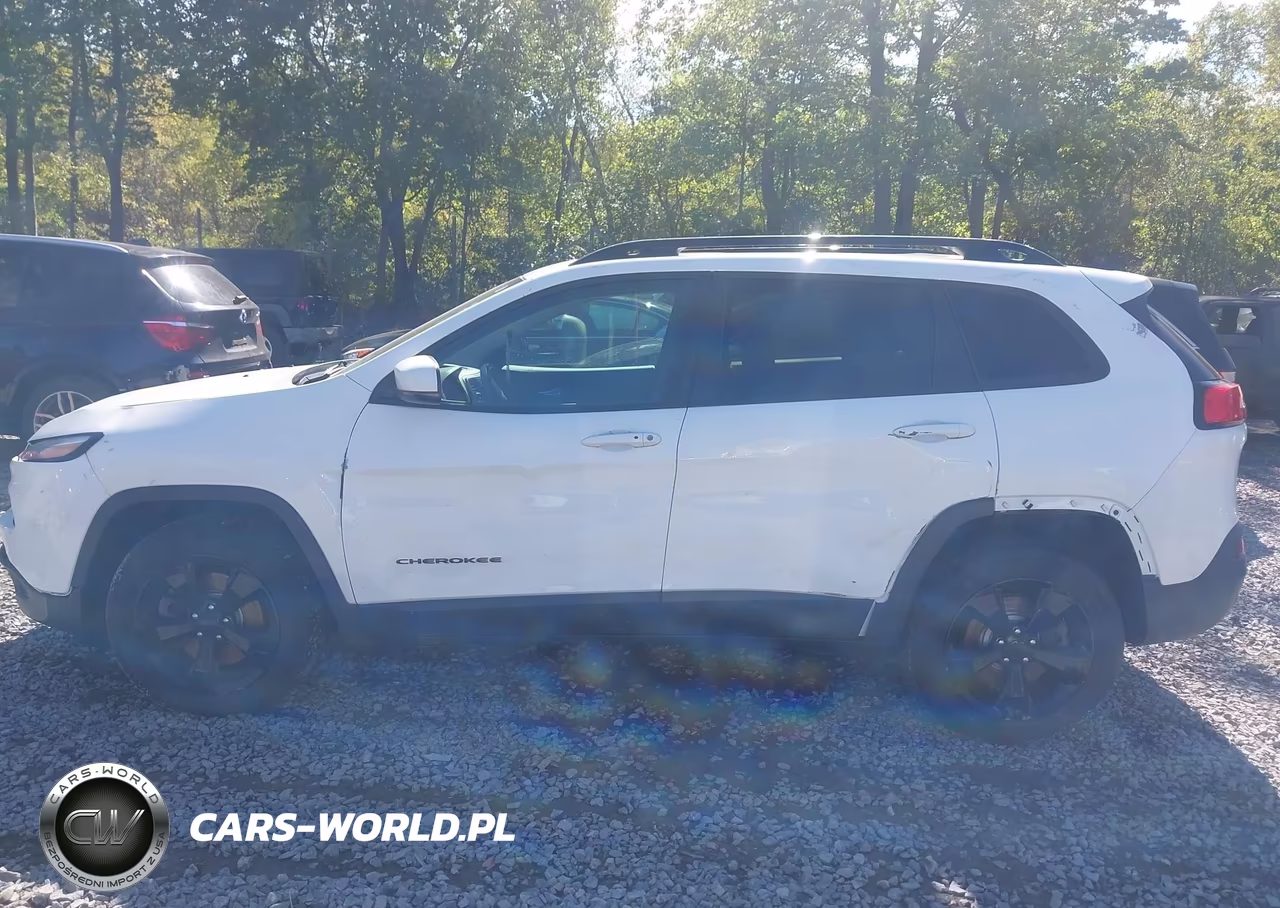 2018 Jeep Cherokee Limited 4X4 VIN:1C4PJMDX7JD609980 - 14