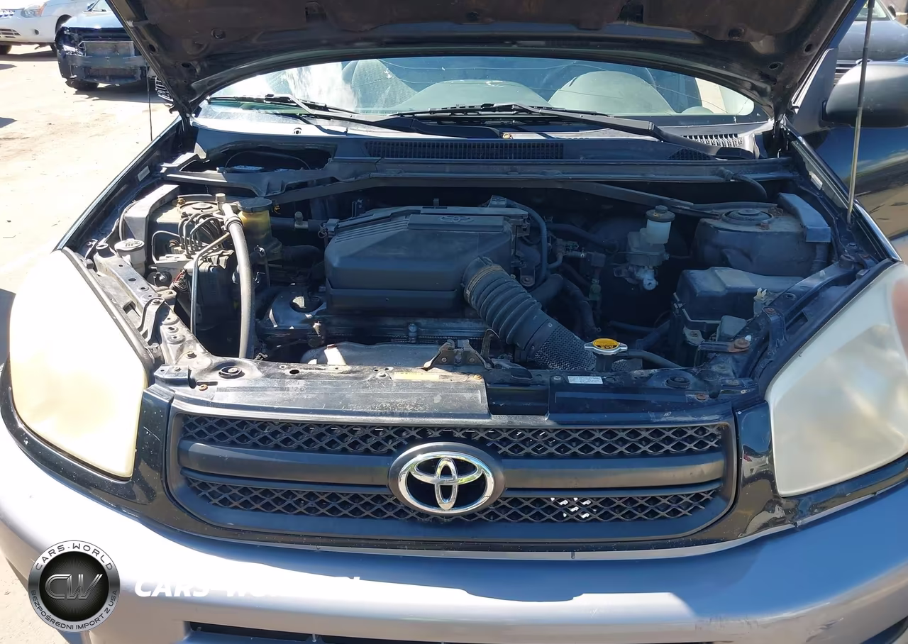 2004 Toyota Rav4 VIN:JTEHD20V546019558 - 10