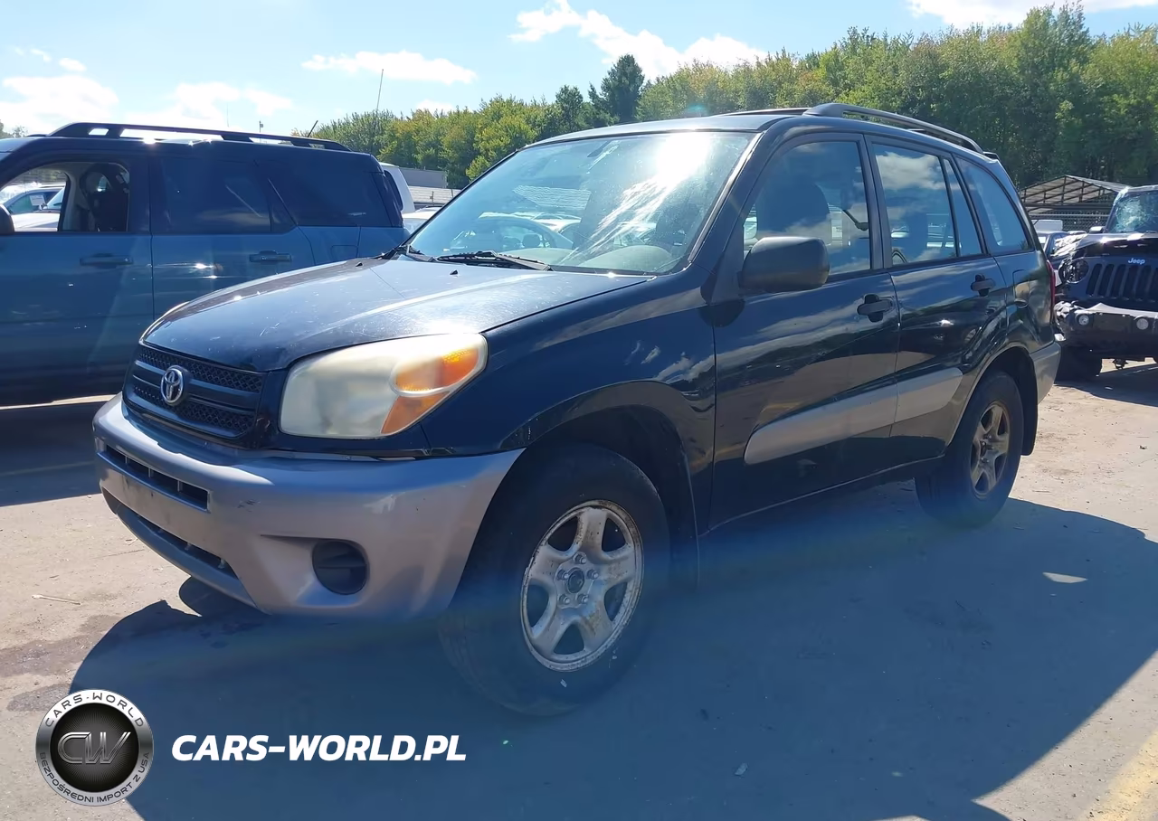 2004 Toyota Rav4 VIN:JTEHD20V546019558 - 2