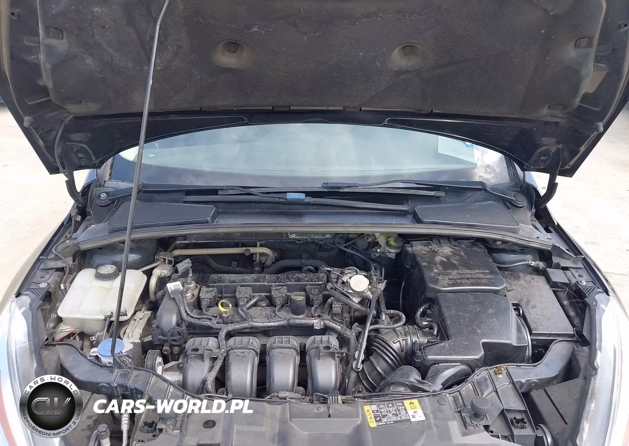 2016 Ford Focus Se VIN:1FADP3K25GL326470 - 10