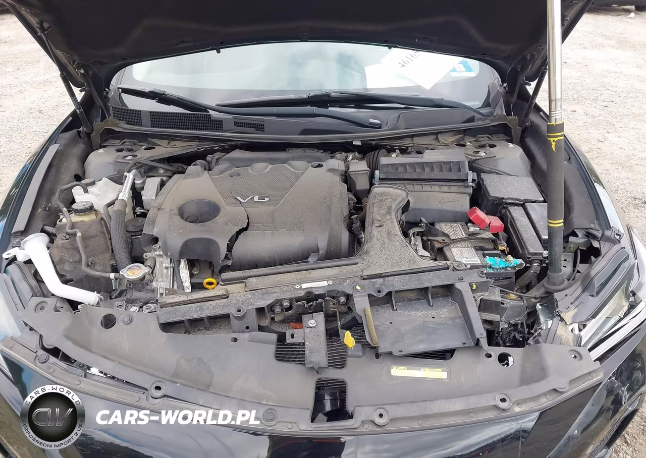 2020 Nissan Maxima Sl Xtronic Cvt VIN:1N4AA6DV7LC366475 - 10