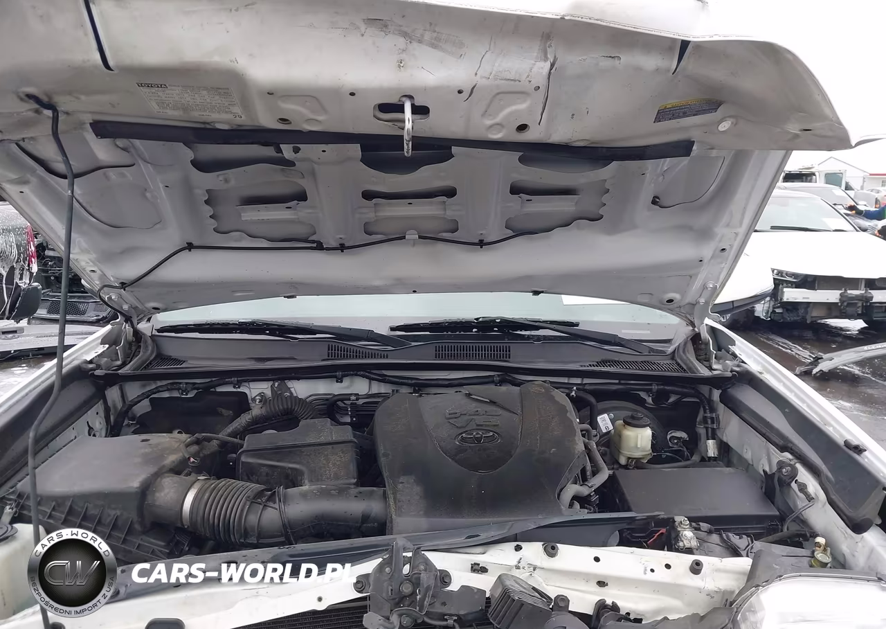 2017 Toyota Tacoma Trd Sport VIN:5TFCZ5AN1HX120600 - 10