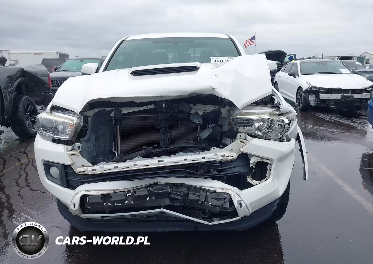 2017 Toyota Tacoma Trd Sport VIN:5TFCZ5AN1HX120600 - 13