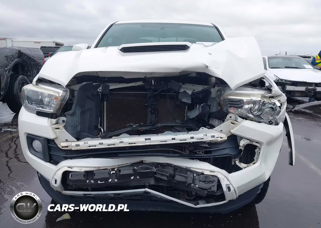 2017 Toyota Tacoma Trd Sport VIN:5TFCZ5AN1HX120600 - 6