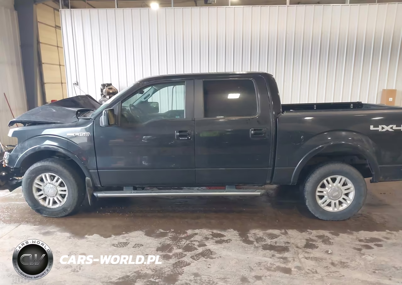2010 Ford F-150 Fx4-Harley-Davidson-King Ranch-Lariat-Platinum-Xl-Xlt VIN:1FTFW1EV2AFB81975 - 15