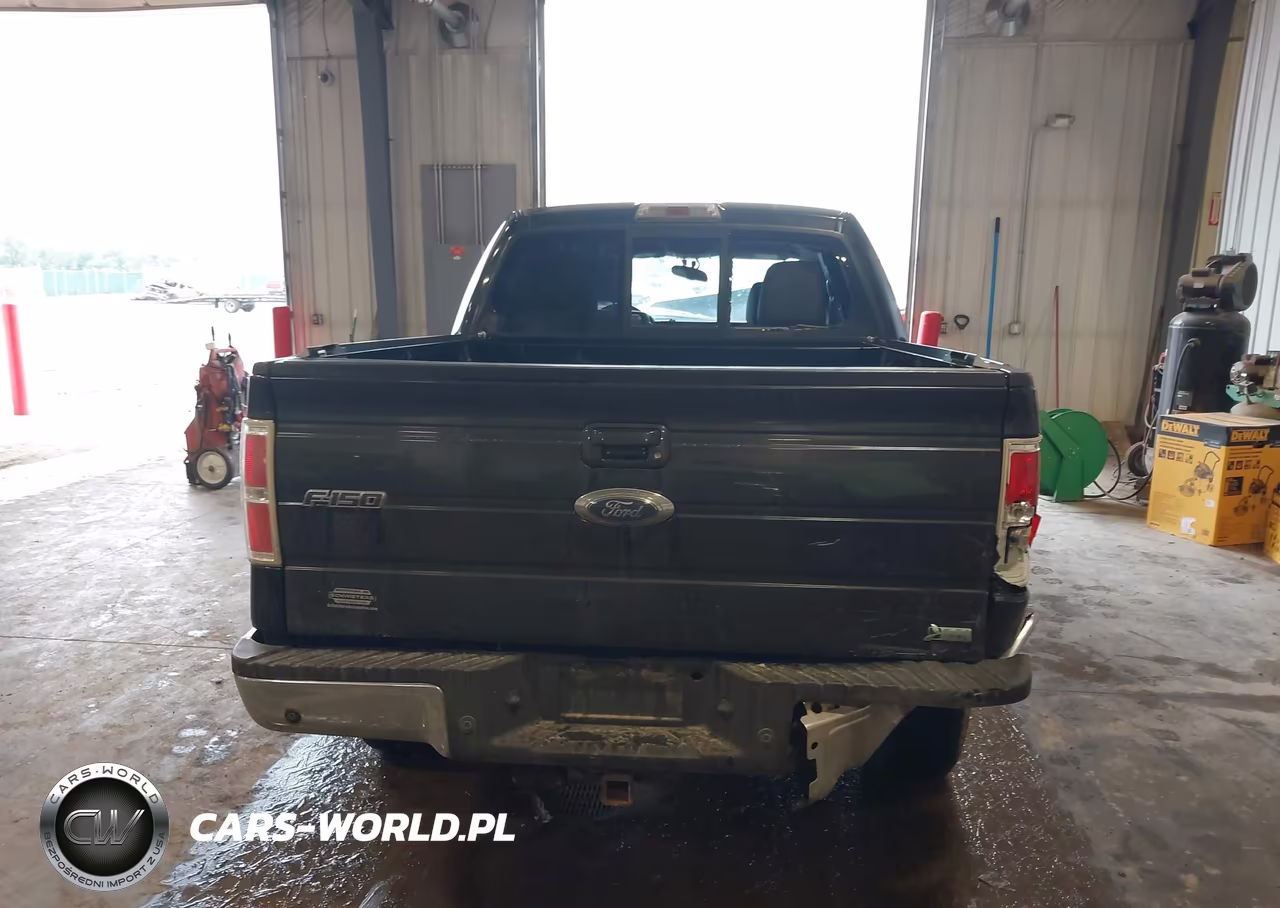 2010 Ford F-150 Fx4-Harley-Davidson-King Ranch-Lariat-Platinum-Xl-Xlt VIN:1FTFW1EV2AFB81975 - 17