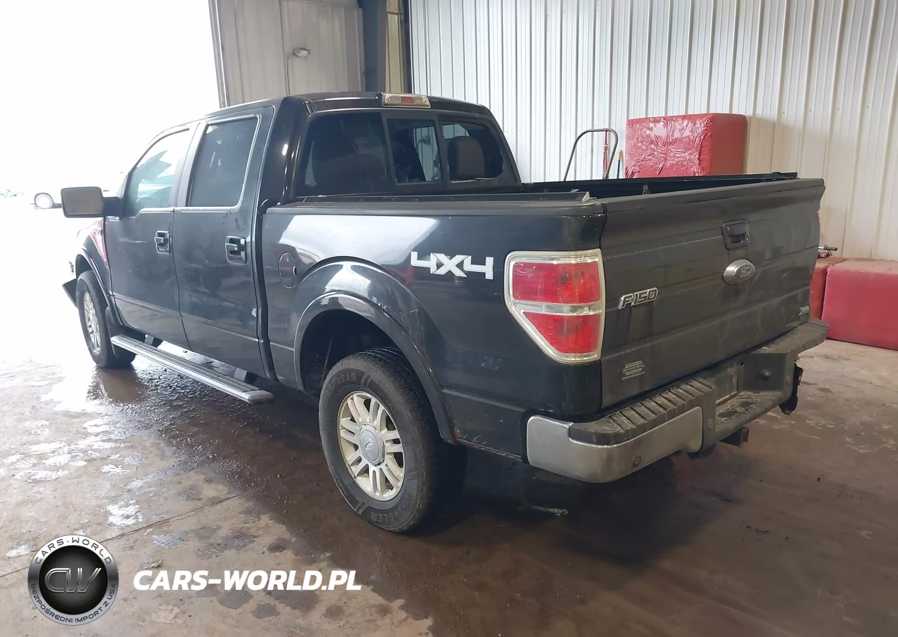 2010 Ford F-150 Fx4-Harley-Davidson-King Ranch-Lariat-Platinum-Xl-Xlt VIN:1FTFW1EV2AFB81975 - 3
