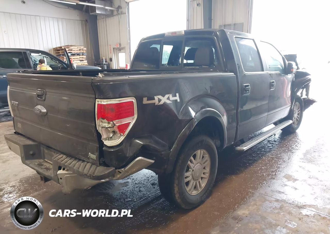 2010 Ford F-150 Fx4-Harley-Davidson-King Ranch-Lariat-Platinum-Xl-Xlt VIN:1FTFW1EV2AFB81975 - 4