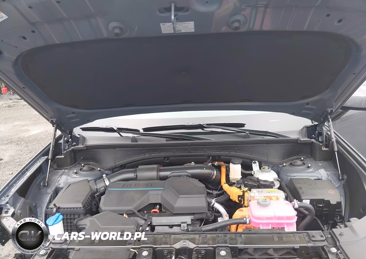 2025 Hyundai Santa Fe Hybrid Calligraphy VIN:5NMP5DG14SH037870 - 10