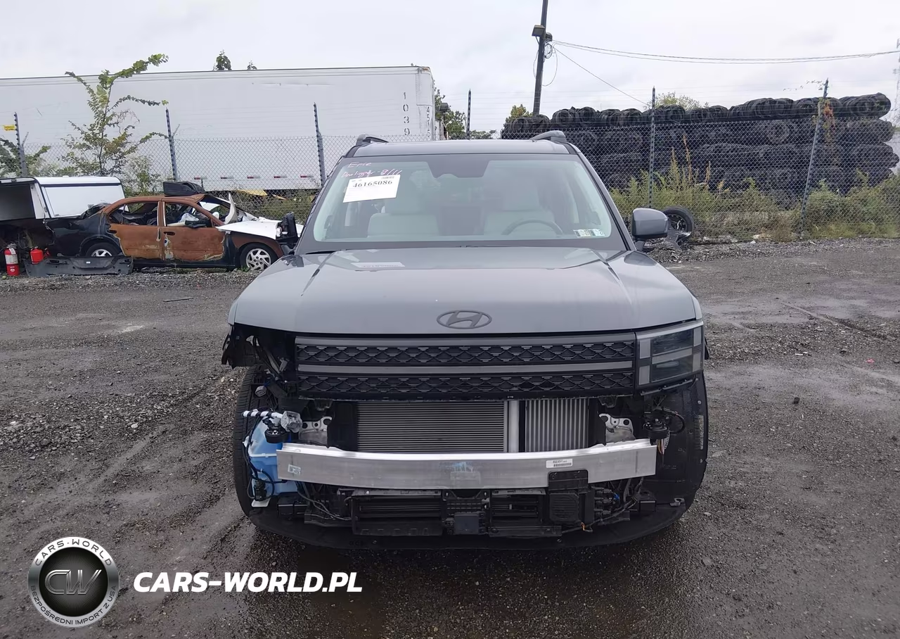 2025 Hyundai Santa Fe Hybrid Calligraphy VIN:5NMP5DG14SH037870 - 12