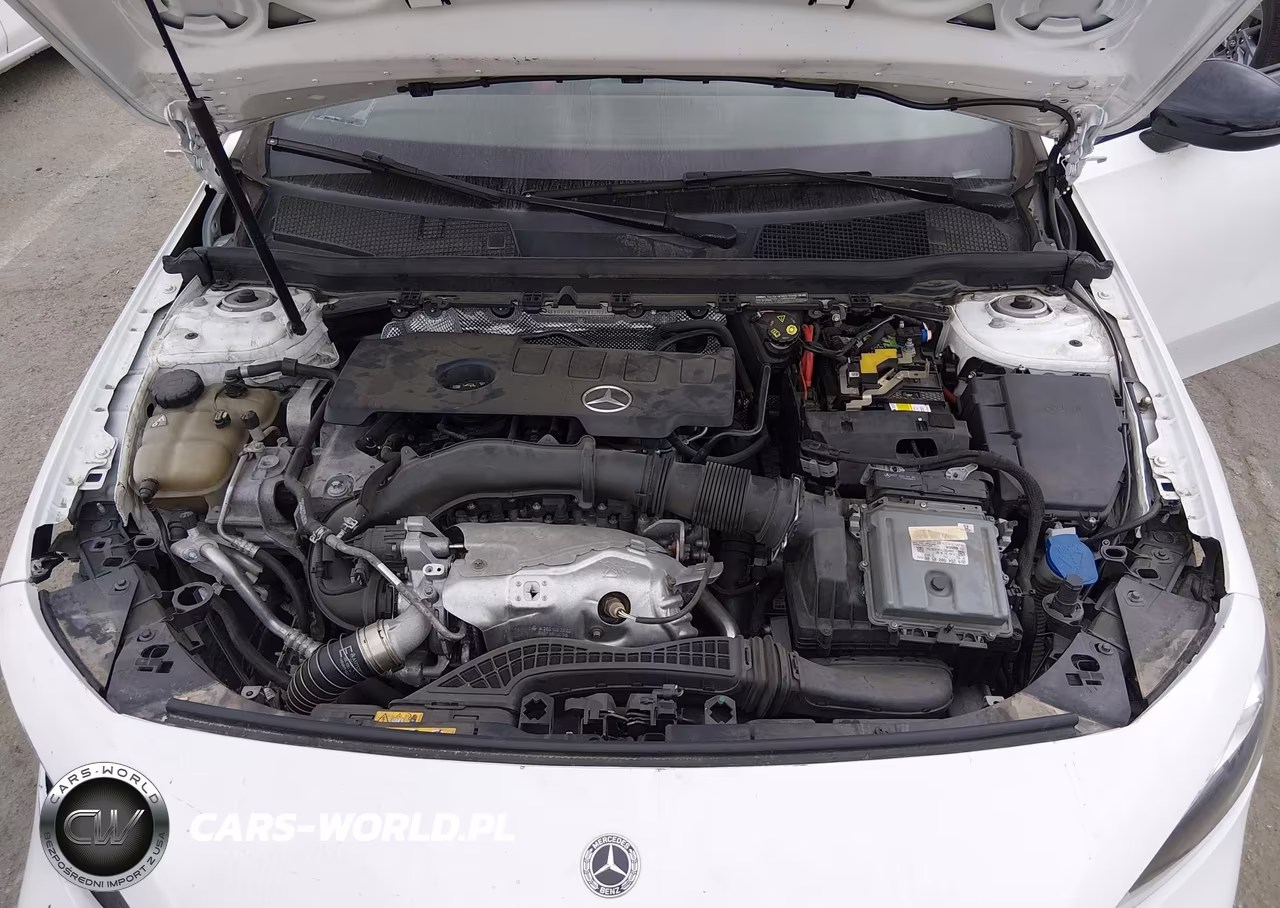 2019 Mercedes-Benz A 220 VIN:WDD3G4EB2KW005166 - 10
