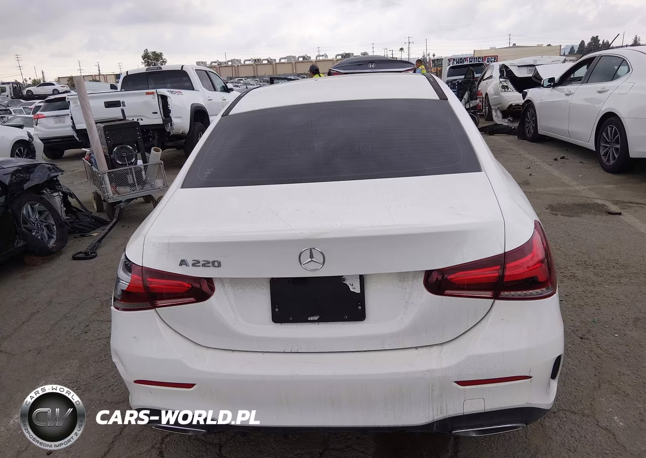 2019 Mercedes-Benz A 220 VIN:WDD3G4EB2KW005166 - 16